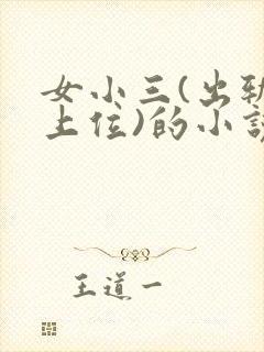女小三(出轨,上位)的小说
