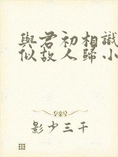 与君初相识·恰似故人归小说