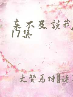 来不及说我爱你17集