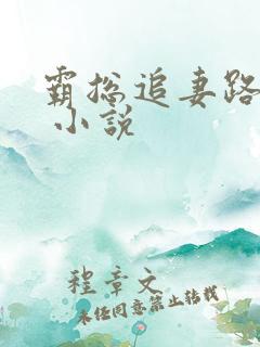 霸总追妻路漫漫 小说