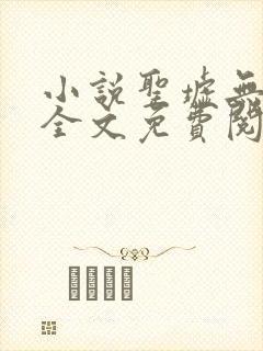 小说圣墟无弹窗全文免费阅读