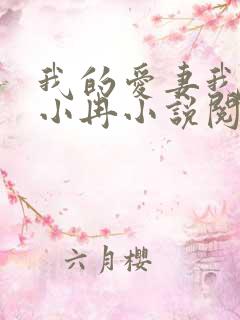 我的爱妻我的父小冉小说阅读免费