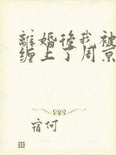 离婚后我被前夫缠上了周京淮在线阅读