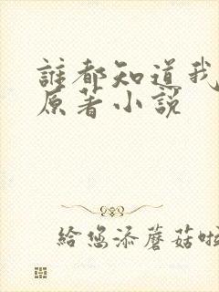 谁都知道我爱你原著小说