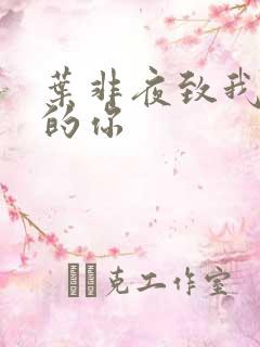 叶非夜致我最爱的你