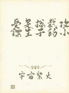 受是总裁攻是保镖生子的小说