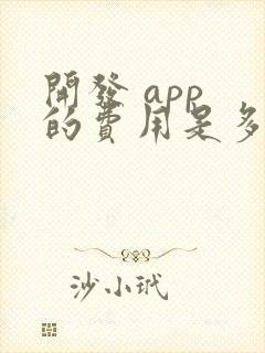 开发 app 的费用是多少