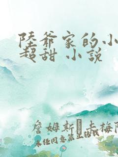 陆爷家的小可爱超甜 小说