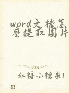 word文档怎么提取图片中的文字