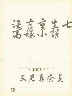 没有重生七零再高嫁小说
