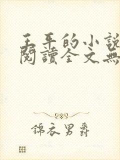 王平的小说免费阅读全文无弹窗