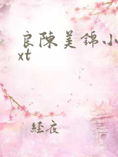 良陈美锦小说txt