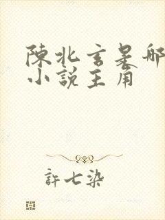 陈北玄是哪一部小说主角