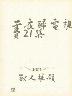 子夜归电视剧免费21集