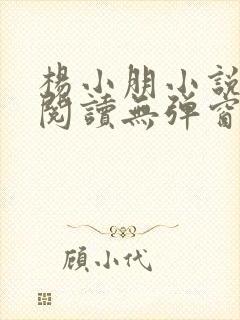 杨小朋小说免费阅读无弹窗