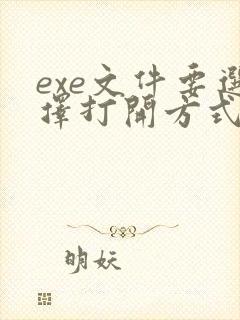 exe文件要选择打开方式