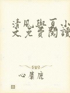清风与夏小说全文免费阅读