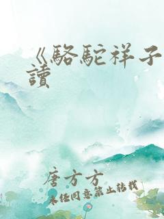 《骆驼祥子》阅读