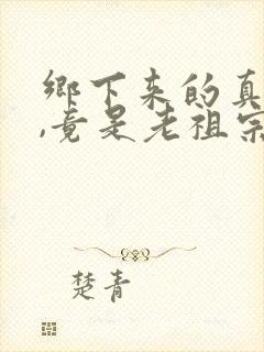 乡下来的真千金,竟是老祖宗短剧