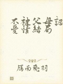 不被父母认同的爱情结局