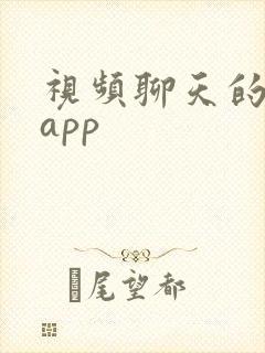 视频聊天的软件app