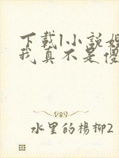 下载l小说嫂子我真不是傻子了全部