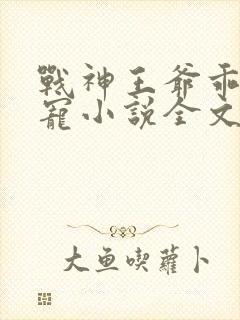 战神王爷乖乖受宠小说全文免费阅读