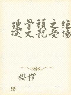 硬骨头之绝地归途文龙受伤