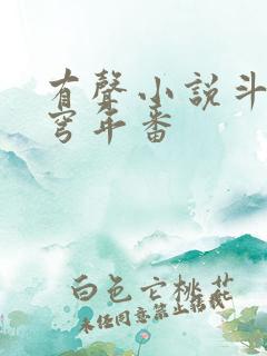 有声小说斗破苍穹年番