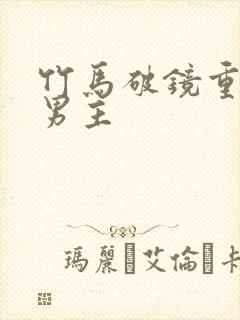 竹马破镜重圆双男主