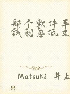 哪个软件平台借钱利息低又安全