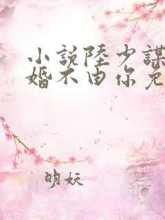 小说陆少谋妻之婚不由你免费阅读