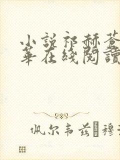 小说祁赫苍许灼华在线阅读