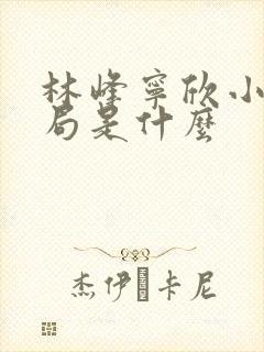 林峰宁欣小说结局是什么