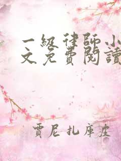 一级律师小说全文免费阅读无弹窗