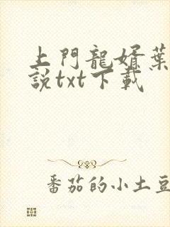 上门龙婿叶辰小说txt下载