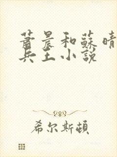 萧晨和苏晴全能兵王小说