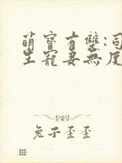 萌宝有双:司先生宠妻无度