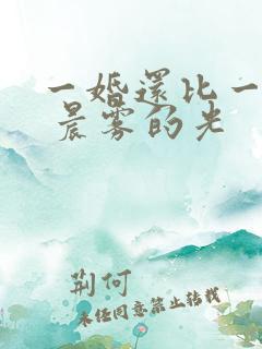 一婚还比一婚高 晨雾的光