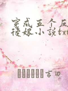穿成五个反派的后娘小说txt