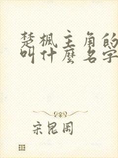 楚枫主角的小说叫什么名字