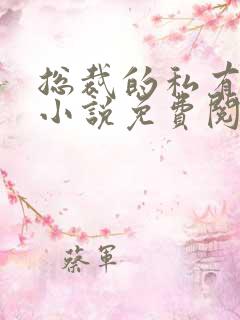 总裁的私有宝贝小说免费阅读