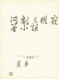 网剧《权宠》原著小说