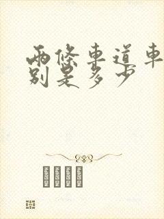 两条车道车速分别是多少