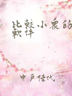 比较小众的社交软件