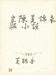 良陈美锦未删减版 小说