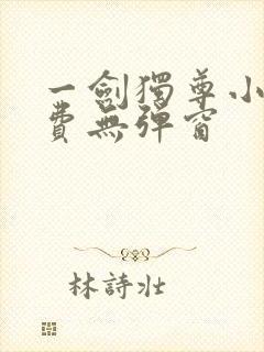 一剑独尊小说免费无弹窗