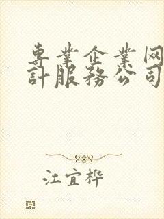 专业企业网站设计服务公司