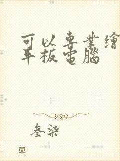 可以专业绘画的平板电脑