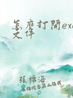 怎么打开exe文件